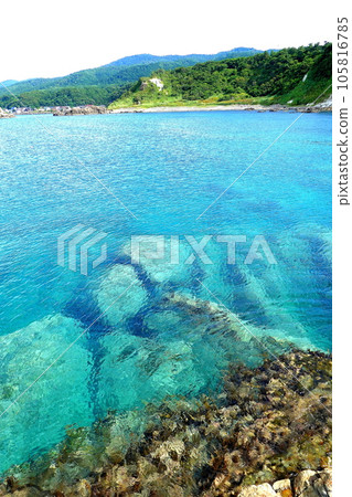 保月海岸高野崎岩石區和海 保月海岸高野崎岩石區和海 105816785