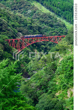 綠意盎然的第一白河大橋和無軌電車的風景“全線開通、恢復運行”(從阿蘇朝陽橋周邊拍攝) 綠意盎然的第一白河大橋和無軌電車的風景“全線開通、恢復運行”(從阿蘇朝陽橋周邊拍攝) 105816810