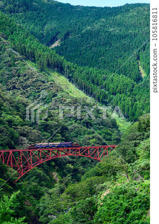 綠意盎然的第一白河大橋和無軌電車的風景“全線開通、恢復運行”（從阿蘇朝陽橋周邊拍攝） 105816811