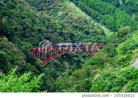 綠意盎然的第一白河大橋和無軌電車的風景“全線開通、恢復運行”(從阿蘇朝陽橋周邊拍攝) 綠意盎然的第一白河大橋和無軌電車的風景“全線開通、恢復運行”(從阿蘇朝陽橋周邊拍攝) 105816812