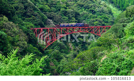綠意盎然的第一白河大橋和無軌電車的風景“全線開通、恢復運行”（從阿蘇朝陽橋周邊拍攝） 105816813