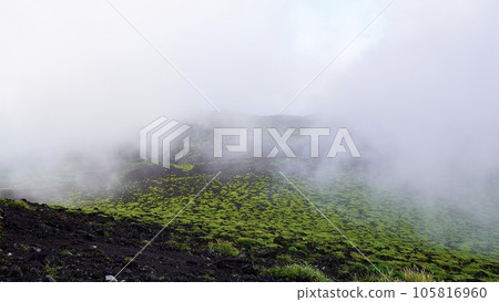 伊豆大島的霧背沙漠 105816960