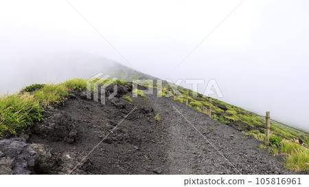 伊豆大島火山口環遊路線特寫 105816961