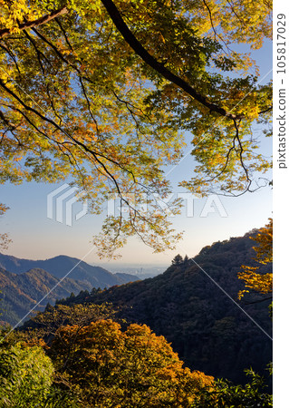 Kanto Plain and autumnal mountains seen from Kobotoke Pass 105817029