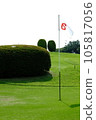 Fresh green golf course 105817056