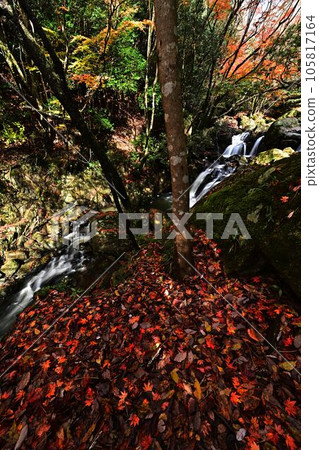 秋天的修女瀑布 105817164
