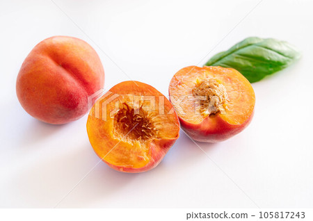 瓦瑟斯坦 瓦瑟斯坦 105817243