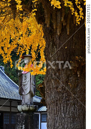 Uto Kannon in autumn 105817331