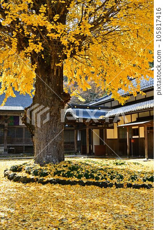 秋天的宇土觀音 105817416