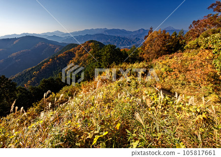 高尾山和影信山的秋景以及富士山和丹澤 高尾山和影信山的秋景以及富士山和丹澤 105817661