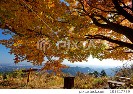 關東平原的景色和高尾山、影信山的紅葉 105817789