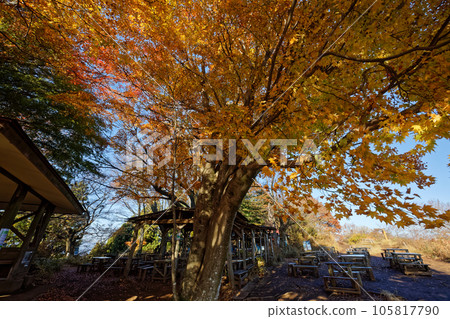 Takaosan ridge and Mt. Kagenobu in autumn colors Takaosan ridge and Mt. Kagenobu in autumn colors 105817790