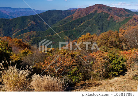 Mt. Ikufuji seen from the summit of Mt. Jinba in autumn colors 105817893
