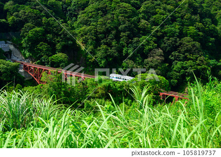 The Daiichi Shirakawa Bridge (tunnel) and the white train "Opening of all lines and resumption of operation" against the background of the fresh green valley 105819737