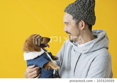 Dachshund, male in his 30s, yellow 105820089