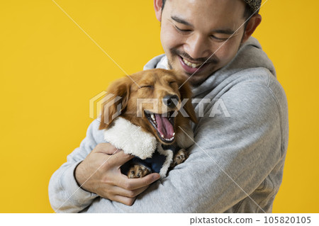 Dachshund, male in his 30s, yellow 105820105