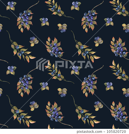 Watercolor Hand Drawn illustration, seamless pattern of Blueberry with green leaves. Forest Plant with Blue Berries isolated on black background. 105820720