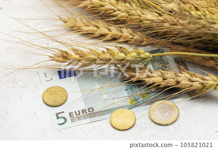 Eurozone money and wheat ears on the table, a concept on the topic of a grain deal 105821021