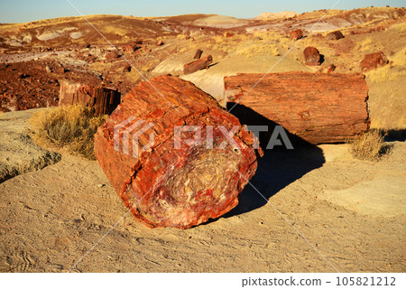 Rugged and Desolate Landscape Petrified Forest Arizona 105821212