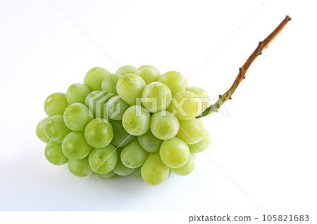 grape (yellow) 105821683