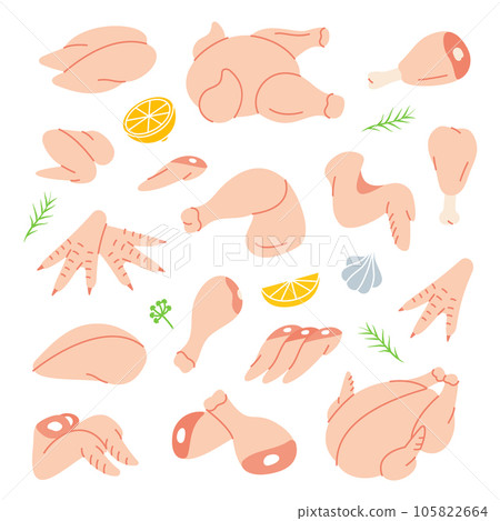 Fresh chicken parts set. Butcher shop. Chicken farming products. Whole chicken, brisket wing, carcass, fillet, ham, leg, breast, shank, drumstick. 105822664