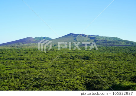 東京伊豆大島三原山 105822987