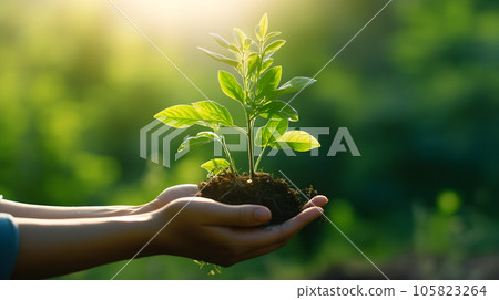 Plant growing seedling in hand. Bokeh green background on nature field grass forest. Environment Earth Day and Conservation Concept. Generative Ai. 105823264