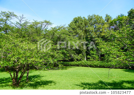 漫步真駒內公園(柏蘑菇廣場地區) 漫步真駒內公園(柏蘑菇廣場地區) 105823477