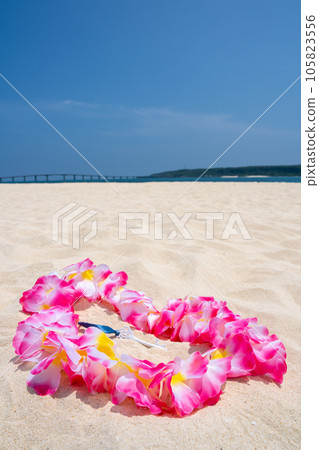 Okinawa Miyakojima Yonaha Maehama ray and white key Okinawa Miyakojima Yonaha Maehama ray and white key 105823556