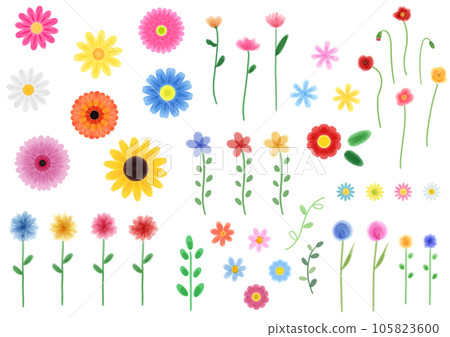 Stock Illustration: [Flower] Hand-painted watercolor illustration set 105823600