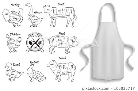 Protective garment for cooking near meat cutting icons. Apron next to culinary animal scheme 105823717