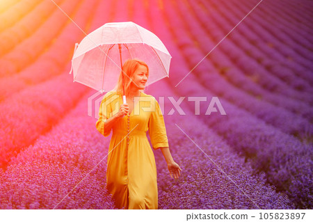 Woman lavender field. A middle-aged woman in a lavender field walks under an umbrella on a rainy day and enjoys aromatherapy. Aromatherapy concept, lavender oil, photo session in lavender 105823897