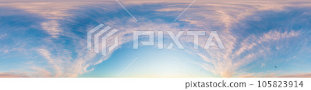 Sunset sky panorama with dramatic bright glowing pink Cirrus clouds. HDR 360 seamless spherical panorama. Full zenith or sky dome for 3D visualization, sky replacement for aerial drone panoramas. 105823914