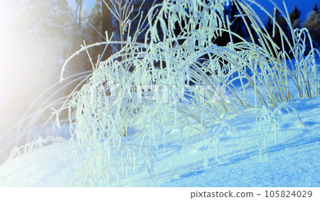 Winter landscape. Winter landscape. 105824029