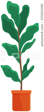 Decorative green plant with long leaves in ceramic pot, pot with houseplant. Home interior plant 105824300