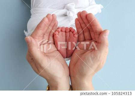 The palms of the father, the mother are holding the foot of the newborn baby on blue background. Feet of the newborn on the palms of the parents. Photography of a child's toes, heels and feet The palms of the father, the mother are holding the foot of the newborn baby on blue background. Feet of the newborn on the palms of the parents. Photography of a child's toes, heels and feet 105824313