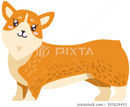 Pembroke welsh corgi cartoon illustration. Kawaii breed corgi standing sticker, funny little dog 105824453