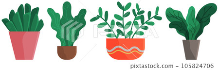 Decorative set green plant with long leaves in ceramic pot, pot with houseplant. Home interior plant 105824706