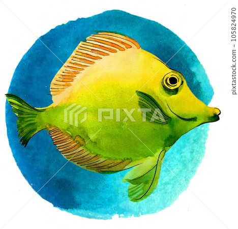 Reef fish on blue background. Hand-drawn watercolor painting 105824970