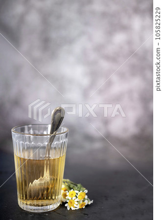 Chamomile in studio 105825229