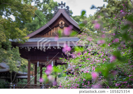 秋天的京都,“萩之宮”梨木神社,看著萩花盛開的院內參拜殿 秋天的京都,“萩之宮”梨木神社,看著萩花盛開的院內參拜殿 105825354