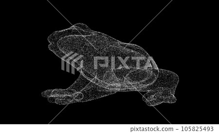 3D frog on black bg. Object dissolved white flickering particles. Business advertising backdrop. Science concept. For title, text, presentation. 3D animation 3D frog on black bg. Object dissolved white flickering particles. Business advertising backdrop. Science concept. For title, text, presentation. 3D animation 105825493