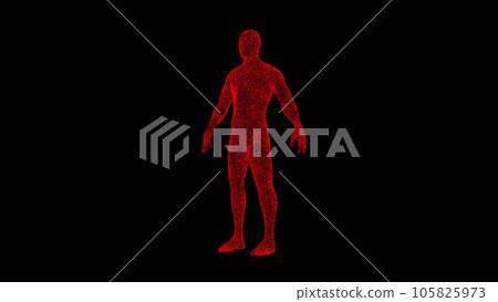 3D human body on black background. Object dissolved red flickering particles. Science concept. Abstract bg for title, presentation. Holographic screensaver. 3D animation 3D human body on black background. Object dissolved red flickering particles. Science concept. Abstract bg for title, presentation. Holographic screensaver. 3D animation 105825973