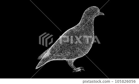 3D Dove on black bg. The bird pigeon is a symbol of peace and prosperity. Wild animals concept. Protection of the environment. For title, text, presentation. 3d animation. 3D Dove on black bg. The bird pigeon is a symbol of peace and prosperity. Wild animals concept. Protection of the environment. For title, text, presentation. 3d animation. 105826056