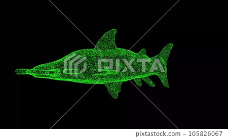 3D Hammerhead Shark on black bg. Wild animals concept. Protection of the environment. For title, text, presentation. Object made of shimmering particles. 3d animation. 105826067