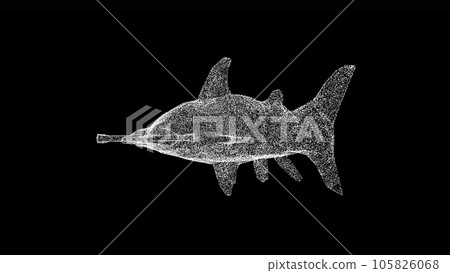 3D Hammerhead Shark on black bg. Wild animals concept. Protection of the environment. For title, text, presentation. Object made of shimmering particles. 3d animation. 3D Hammerhead Shark on black bg. Wild animals concept. Protection of the environment. For title, text, presentation. Object made of shimmering particles. 3d animation. 105826068