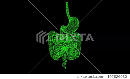 3D stomach and intestines on black bg. The human digestive system. Scientific medical concept. For title, text, presentation. Object dissolved flickering particles. 3d animation. 3D stomach and intestines on black bg. The human digestive system. Scientific medical concept. For title, text, presentation. Object dissolved flickering particles. 3d animation. 105826080