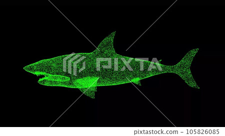 3D Shark on black background. Object made of shimmering particles. Wild animals concept. Protection of the environment. For title, text, presentation. 3d animation. 105826085