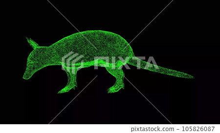 3D Armadillo on black background. Object made of shimmering particles. Wild animals concept. Protection of the environment. For title, text, presentation. 3d animation. 105826087
