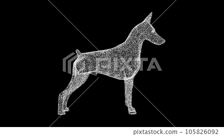 3D dog Doberman on black background. Object made of shimmering particles. Pets care concept. For title, text, presentation. 3d animation. 105826092